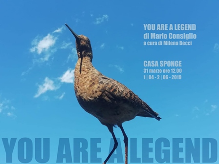 Mario Consiglio – You are a legend